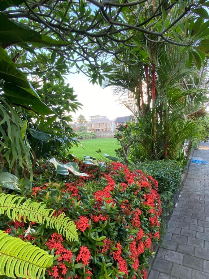 Krisna Homestay Canggu Esterno foto